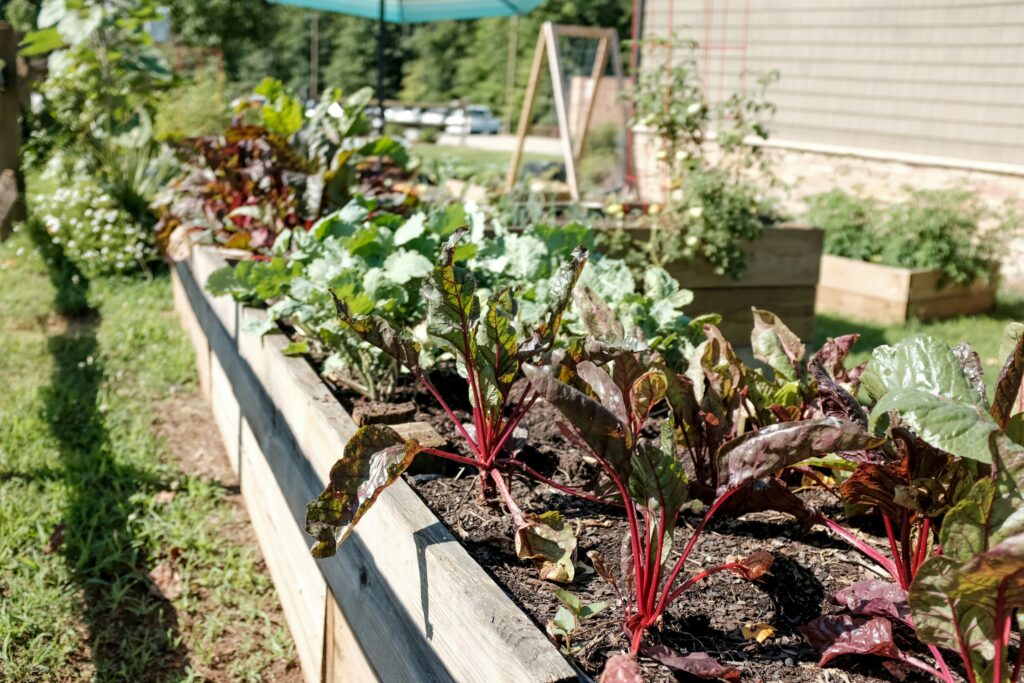 Bac potager